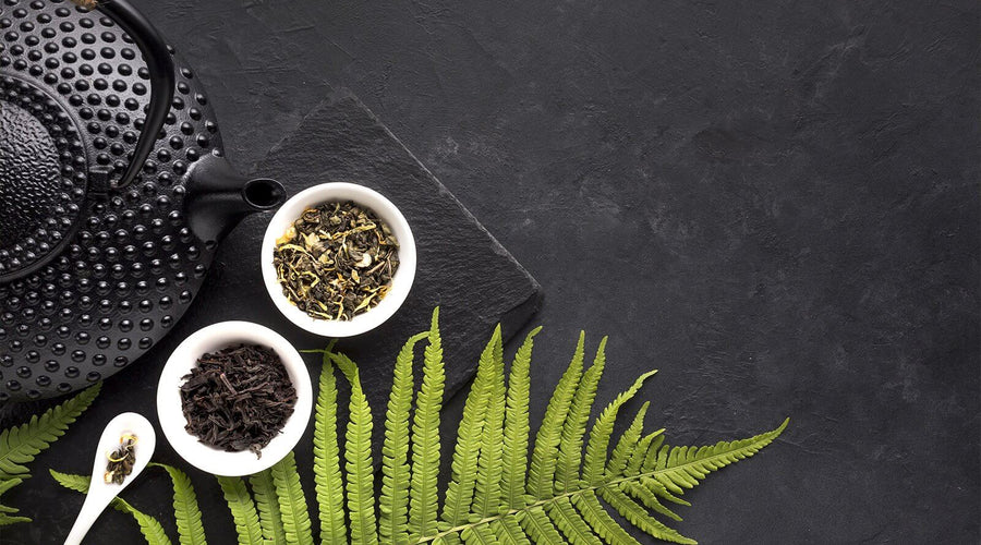 Everything You Need to Know About Antioxidants in Tea