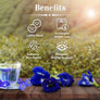 Butterfly Pea Tea