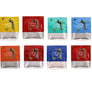 Experience Tea Box 8 Assorted Flavors 15 Teabags